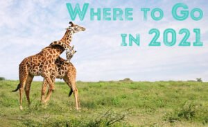 Top 10 Bucket List Destinations: Where to Go in 2021