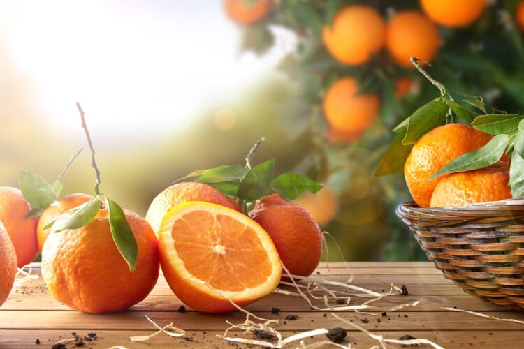 What Is The Meaning Of Orange And The Psychology Of The Person Who Chooses It?