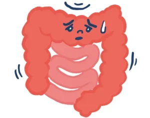 What Type Of Intestine Is Your Intestine? First Intestinal Activity Navi