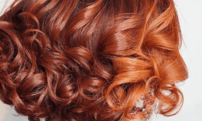 A Sample Guide For Red Hair Color. Finish Centered Of Red & Red-brown