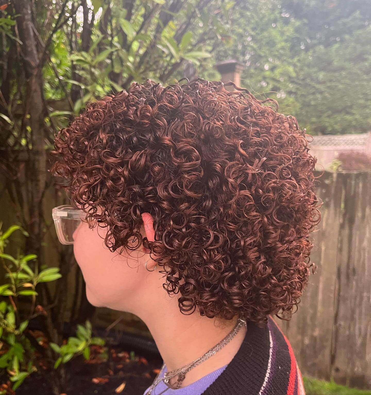 Curly Wolf Cut With Rose Gold Hair Color