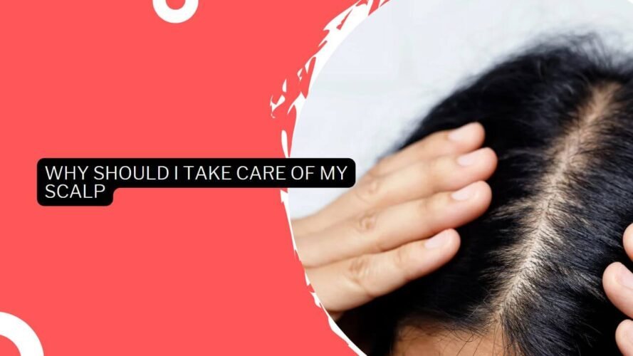 Why Should I Take Care Of My Scalp (1)